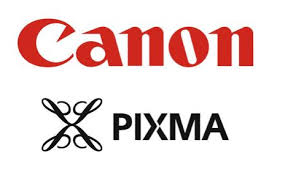 What Ink Should You Use in Canon Pixma Printers | InkjetsClub